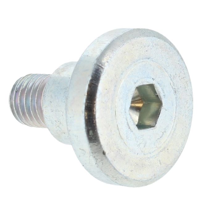 bolt Bosch 160343507R