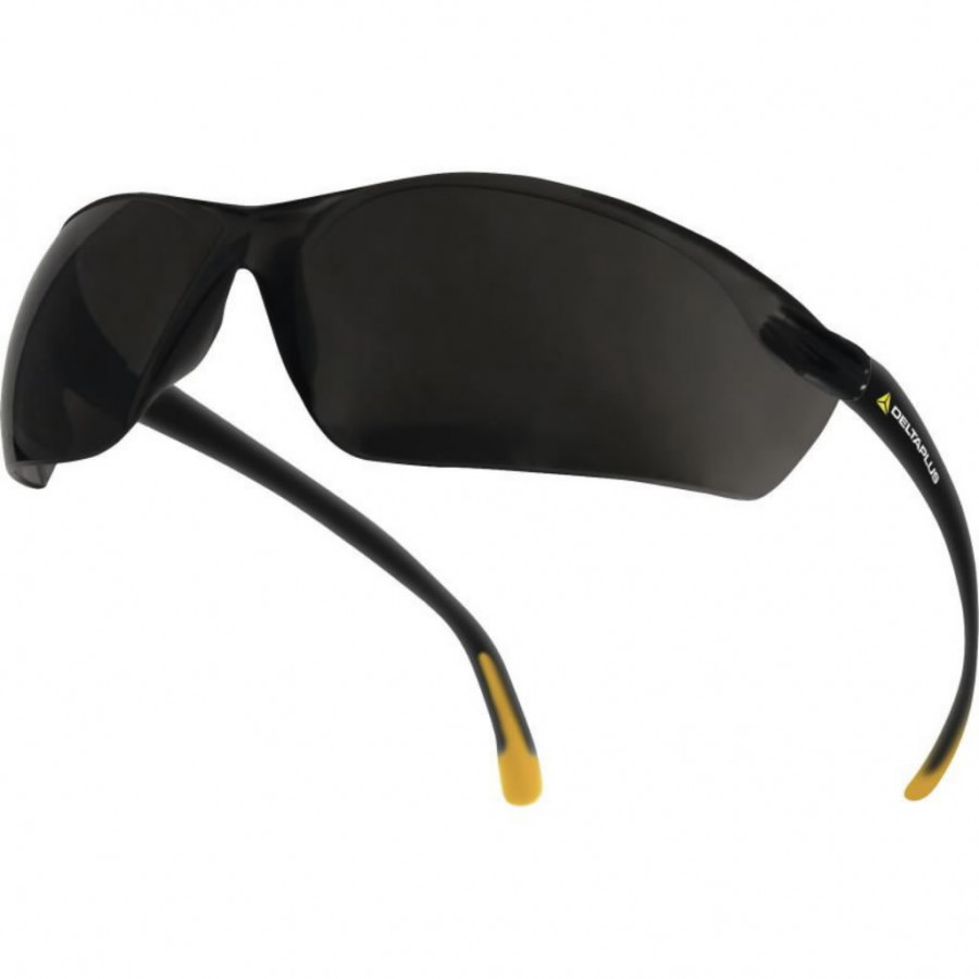 Vernebriller Delta Plus Meia Smoke AR- UV400; svart