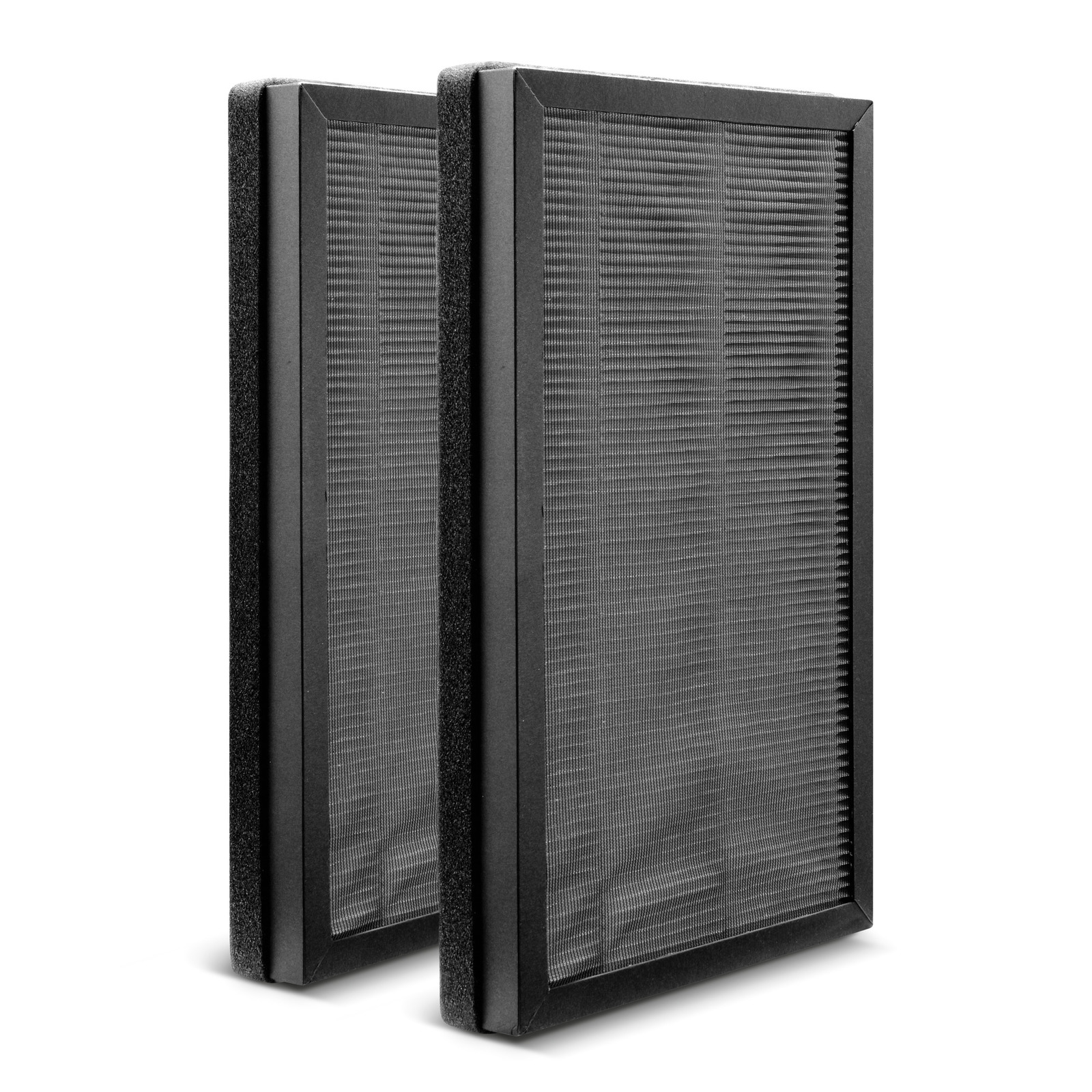 Filter Karcher AF 20; 2 stk