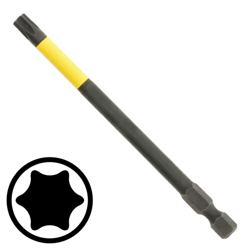 Skrubits Hogert HT1S692; 1/4''; T20; 100 mm; 2 stk