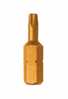 Skrubits LEMAN-Prancūzija F51506TI; T15; 1/4''