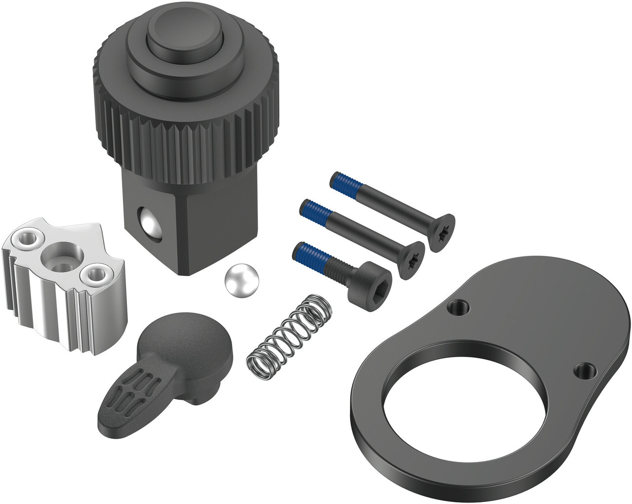 Reparasjonssett for skralle Wera WE05547626001; Click-Torque C 1