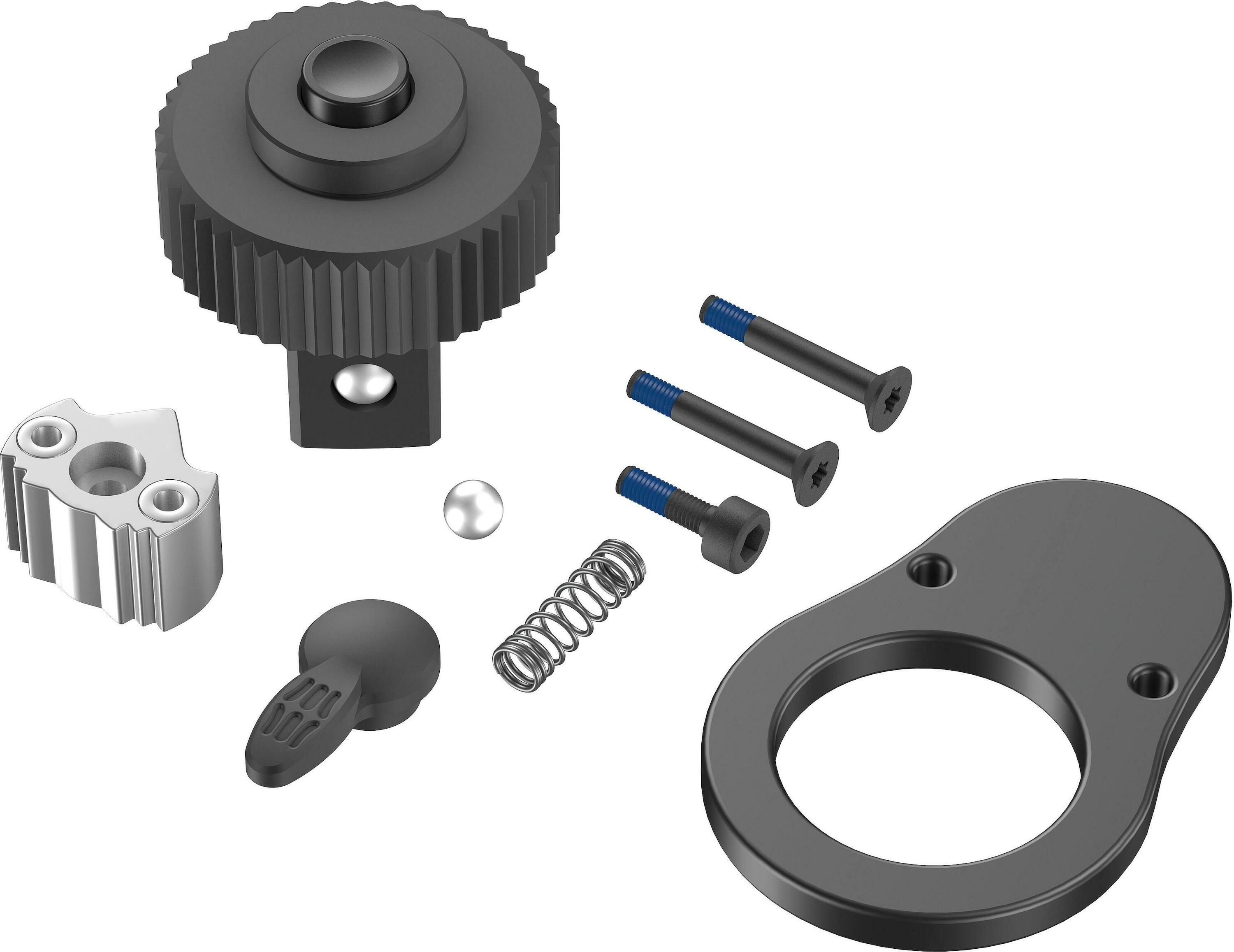 Reparasjonssett for skralle Wera WE05547632001; Click-Torque C 3