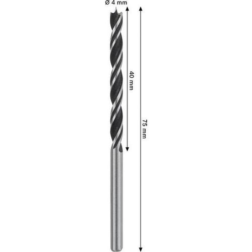 Bor for tre Bosch PRO; HSS; 4x43x75 mm