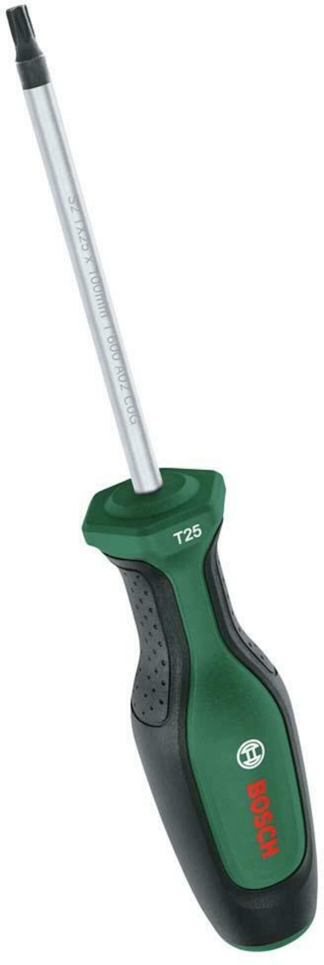 Skrutrekker Bosch 1600A03DT5; TX25x100 mm