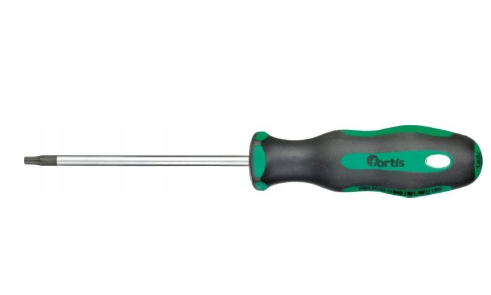 Skrutrekker Fortis 4317784793285; T20; 100 mm