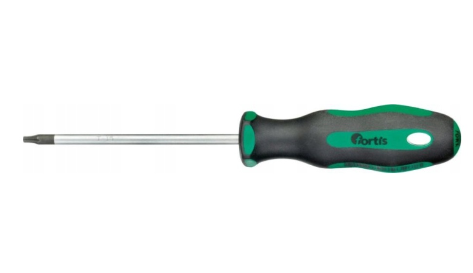 Skrutrekker Fortis 4317784793278; T15; 100 mm