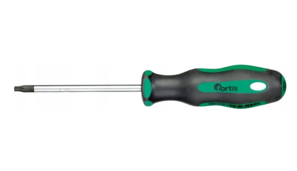 Skrutrekker Fortis 4317784793292; T25; 100 mm