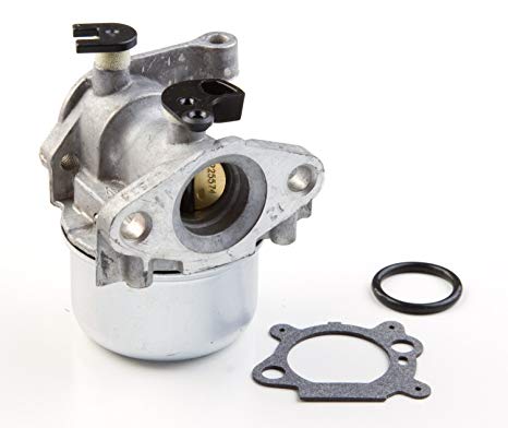 Forgasser Briggs&Stratton 799871